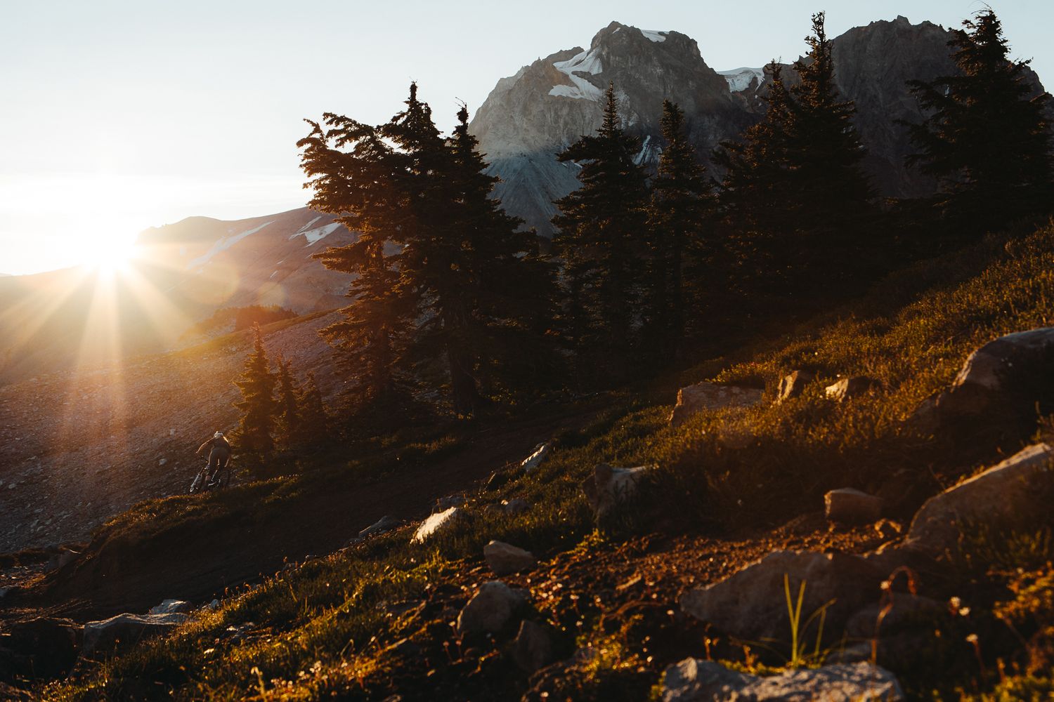 Golden sunburst through pine trees on mountainside during sunset.