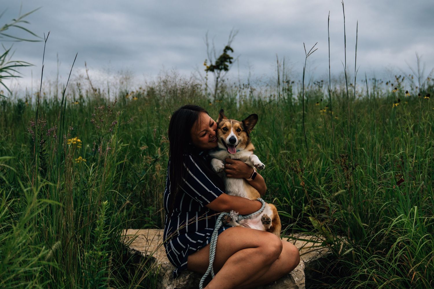 Family pet photographer in Cincinnati Corgi photos Dayton Ohio dog and me photography near me