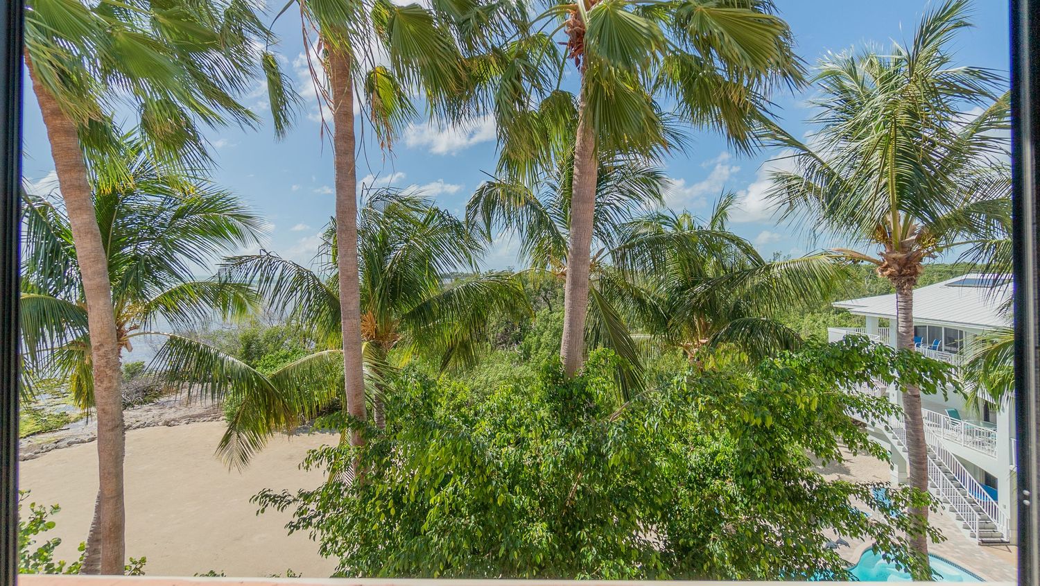Aerial view of palm trees and buildings along a tropical waterfront property.
