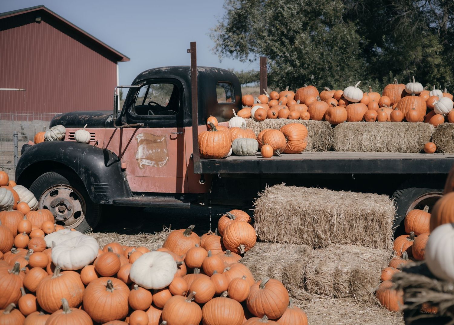 a truck at Cover's Apple Ranch covered in pumpkins and hay bales