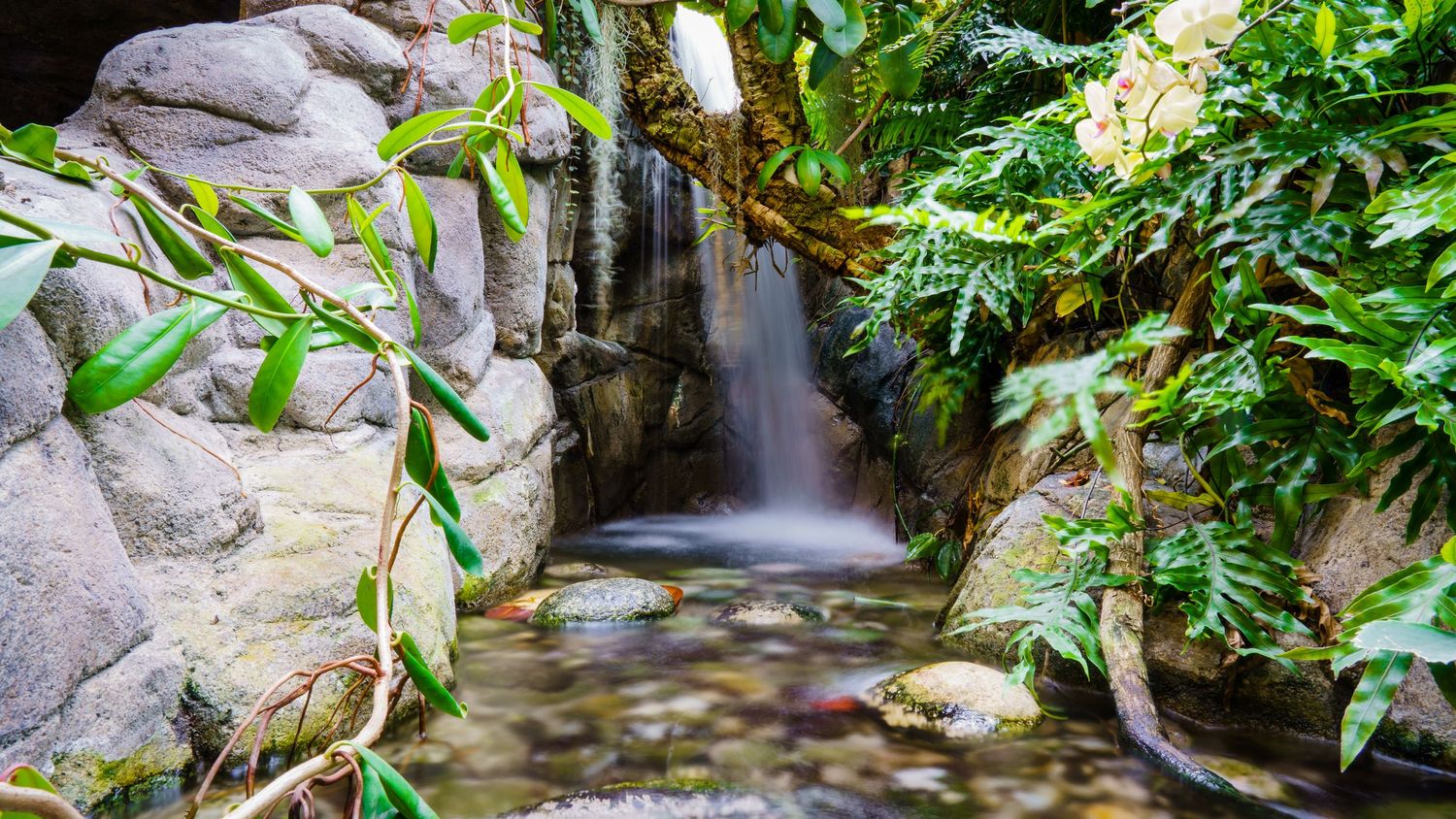 Small waterfall cascades over rocks surrounded by lush green plants in a peaceful garden setting.