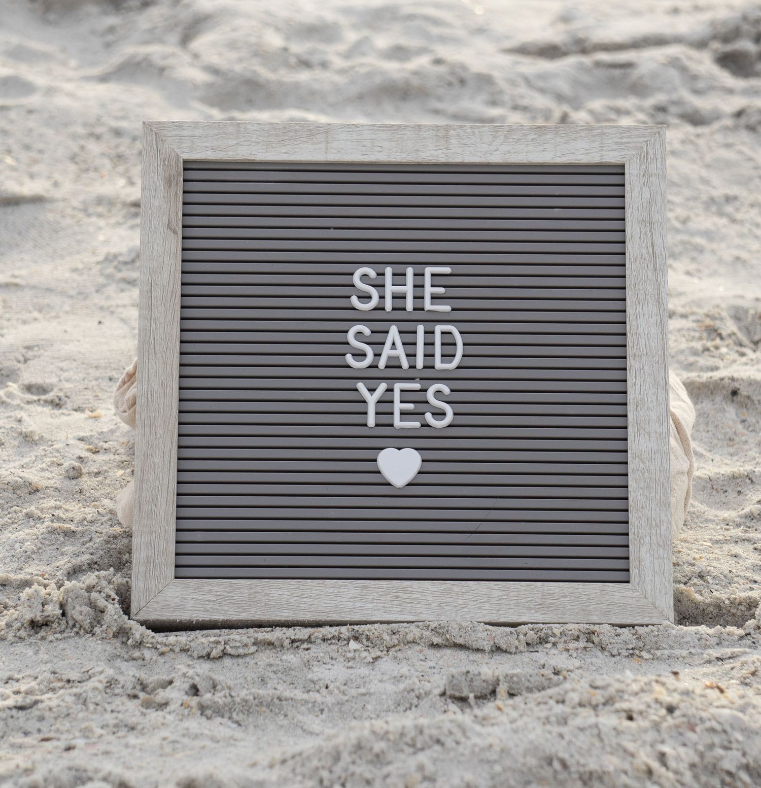 Tampa Bay Engagement Photographer, Proposal Session
