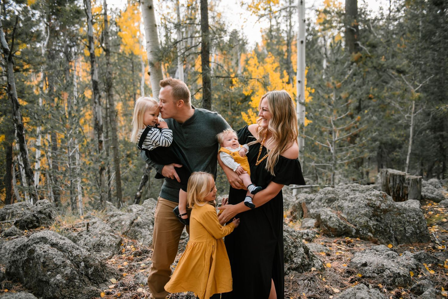 Golden autumn forest scene with evergreen trees and natural mountain lighting.