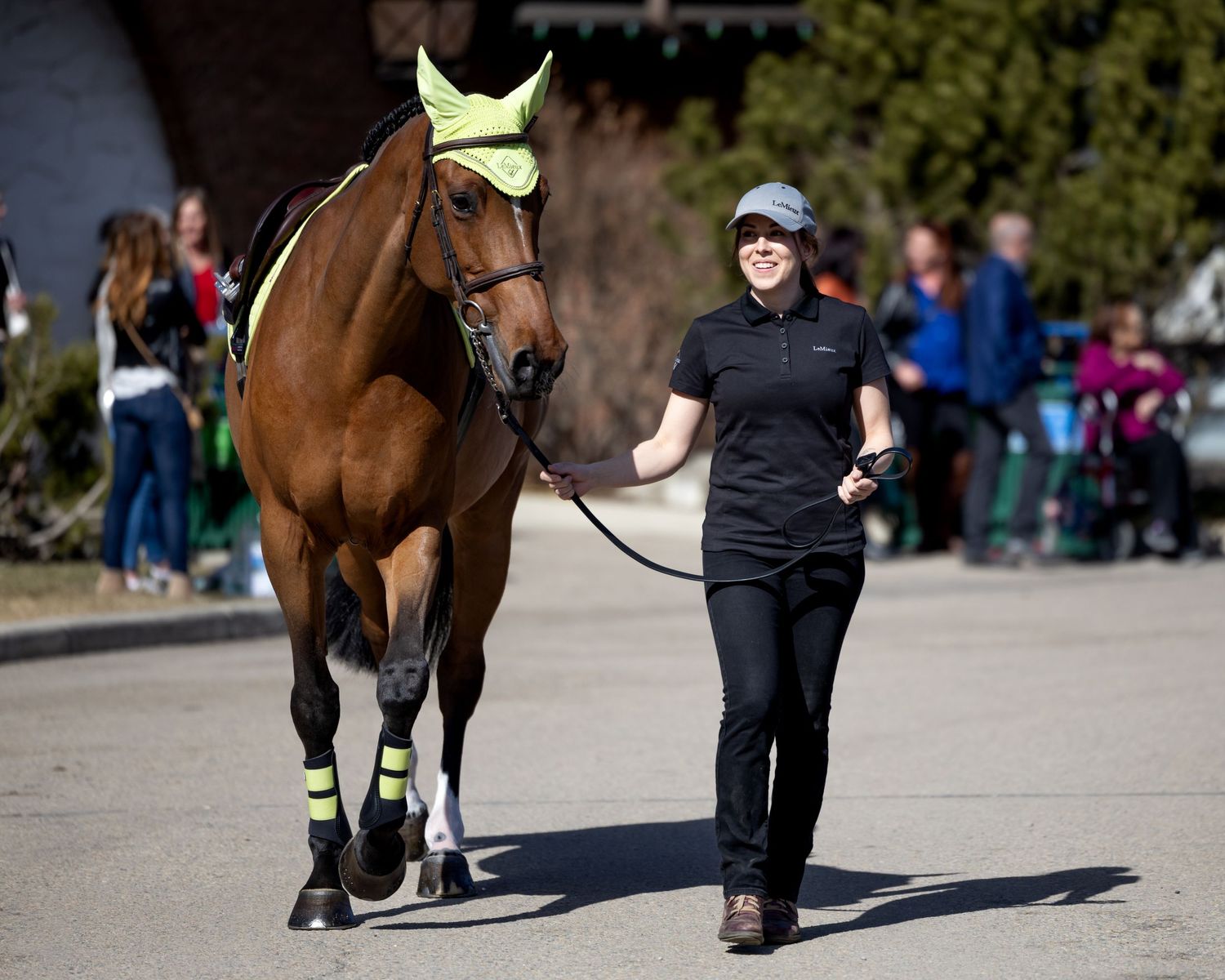 A groom in the fashion show leading a horse at Spruce Meadows, Ab