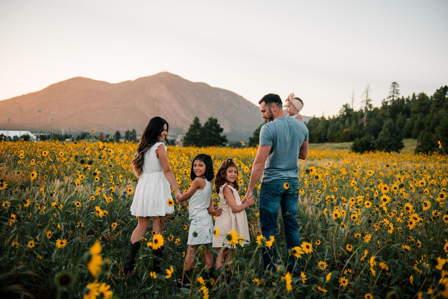 A family stands together in a golden sunflower field with mountains in the background during sunset.