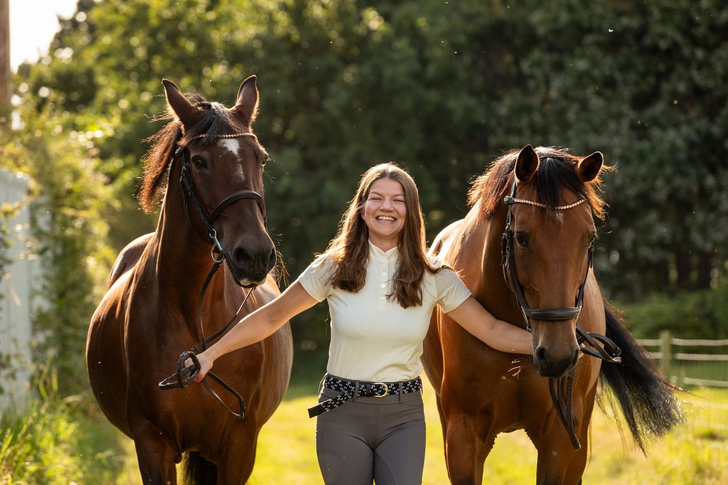 Beautiful horses standing in golden sunlight with companion in countryside setting.