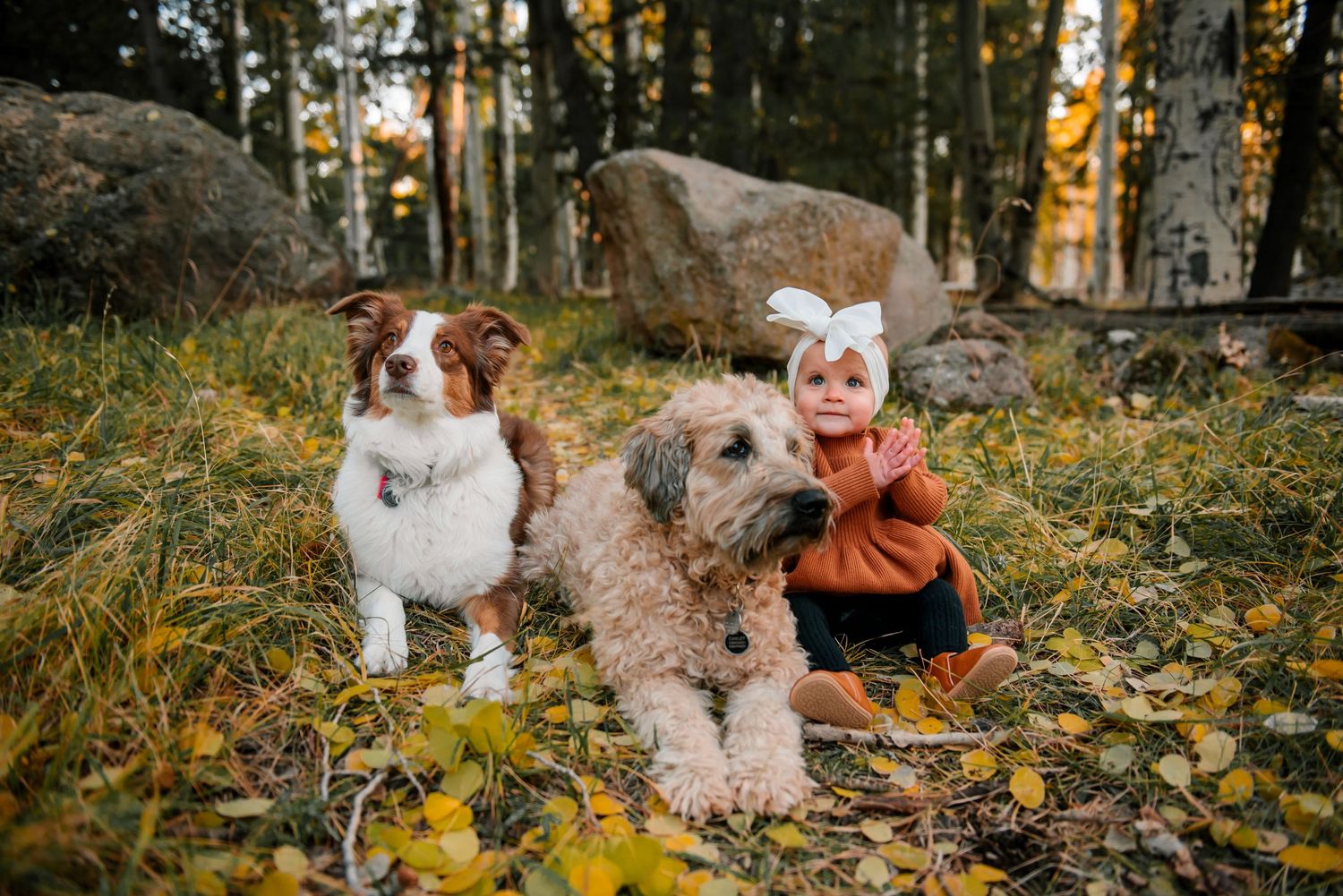 A family poses playfully in a golden aspen forest during autumn with fallen leaves on the ground.