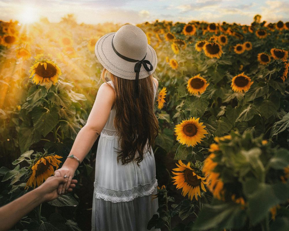 What to Wear for Sunflower Sessions Brampton Sunflower Photos