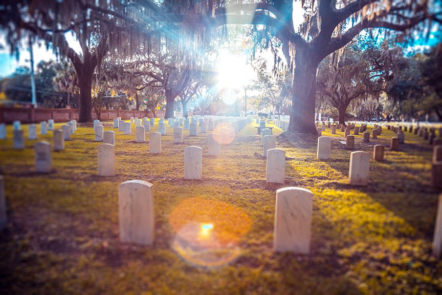 Rows of white headstones beneath sprawling oak trees in a military cemetery illuminated by the setting sun.