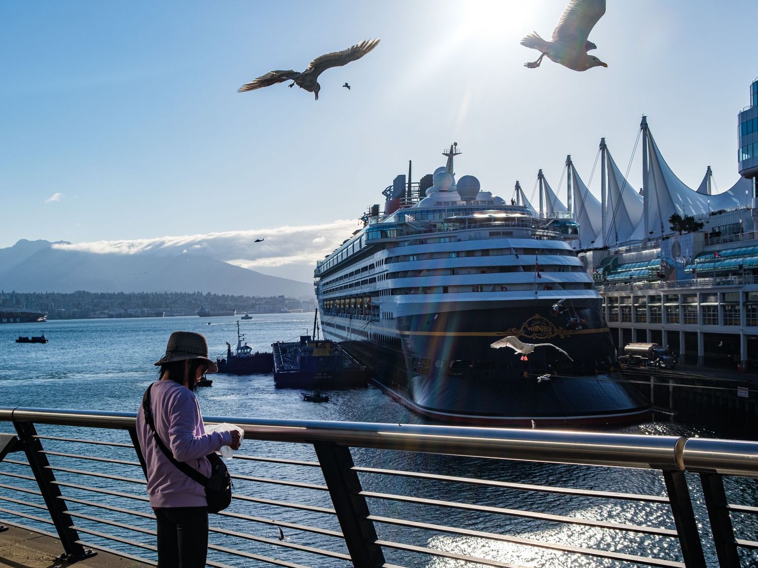 Seagulls soar above a cruise ship docked at Vancouver harbor with mountain backdrop.