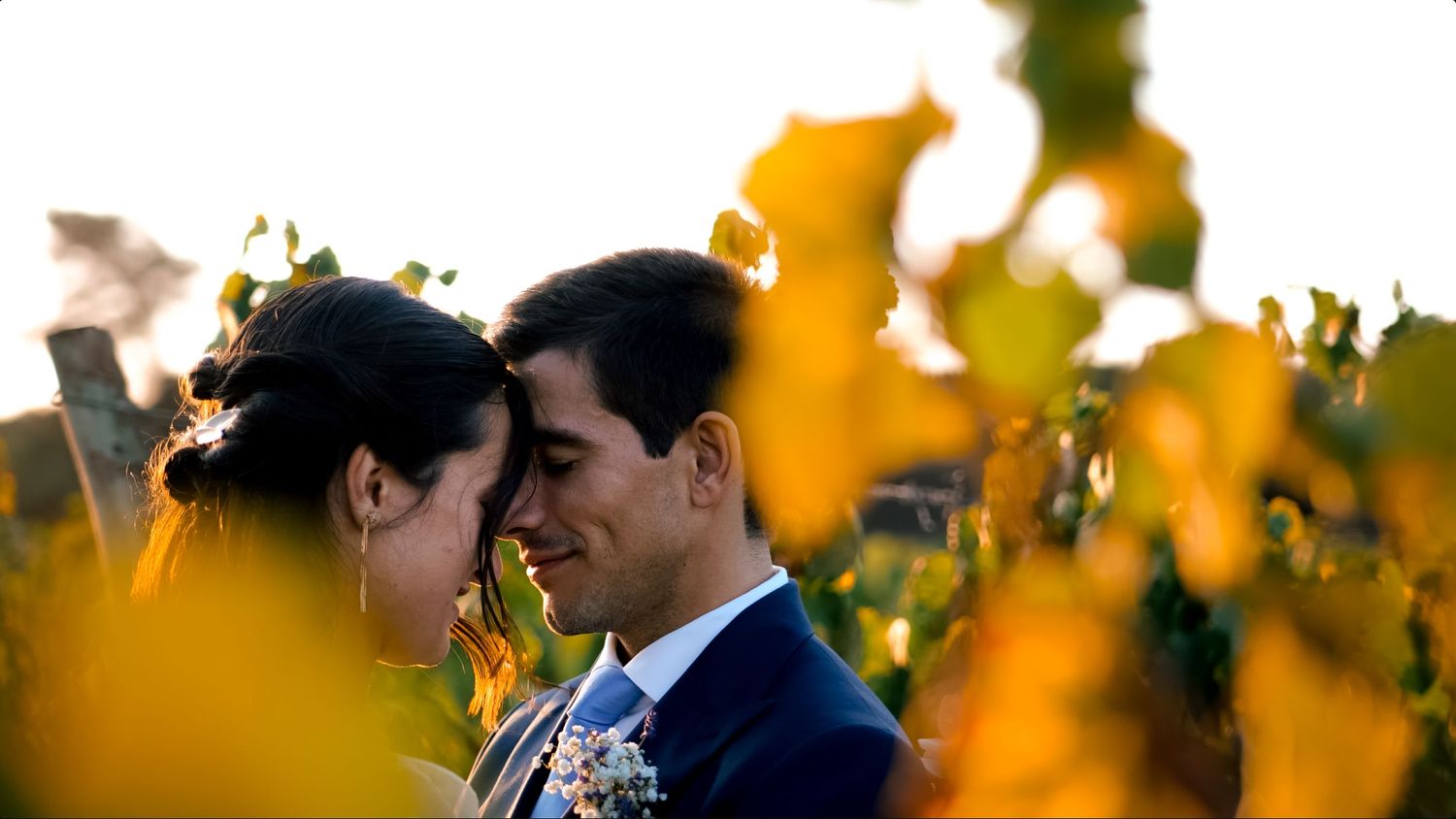 Newlywed couple touching foreheads tenderly in a golden vineyard at sunset.