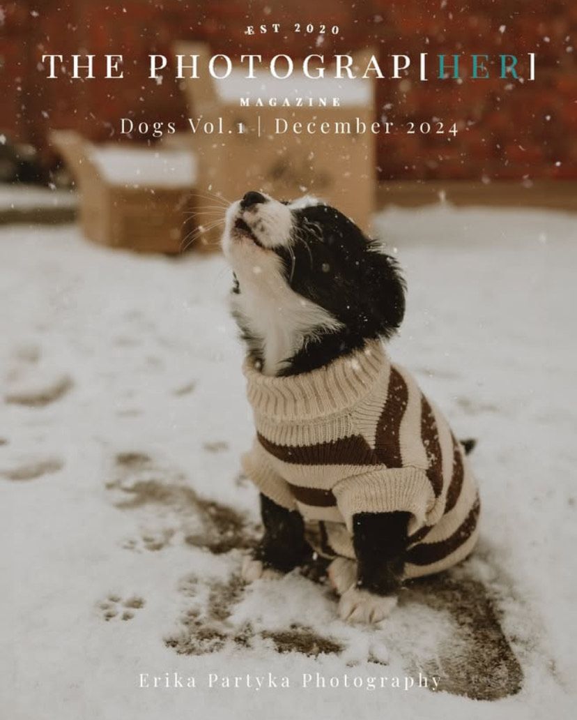 Magazine cover featuring a dog in a striped sweater looking up at falling snow.