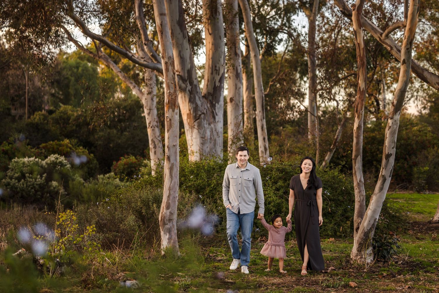 People walking together in a scenic Australian bushland setting with tall eucalyptus trees at sunset.
