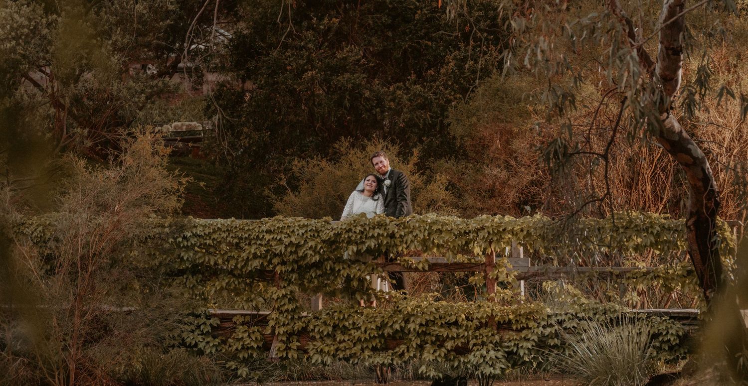 Wedding couple sits on rustic stone steps surrounded by autumn foliage in moody outdoor setting.