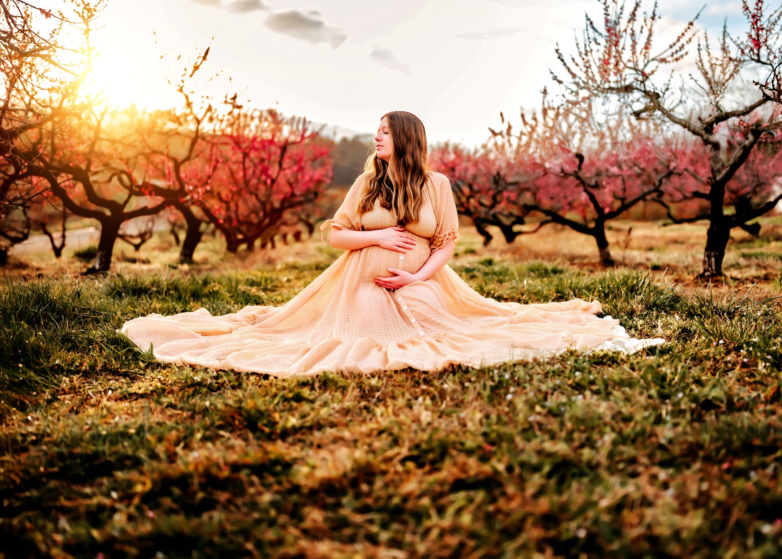 A flowing pink gown trails elegantly through a blooming orchard at sunset, creating a dreamy springtime scene.