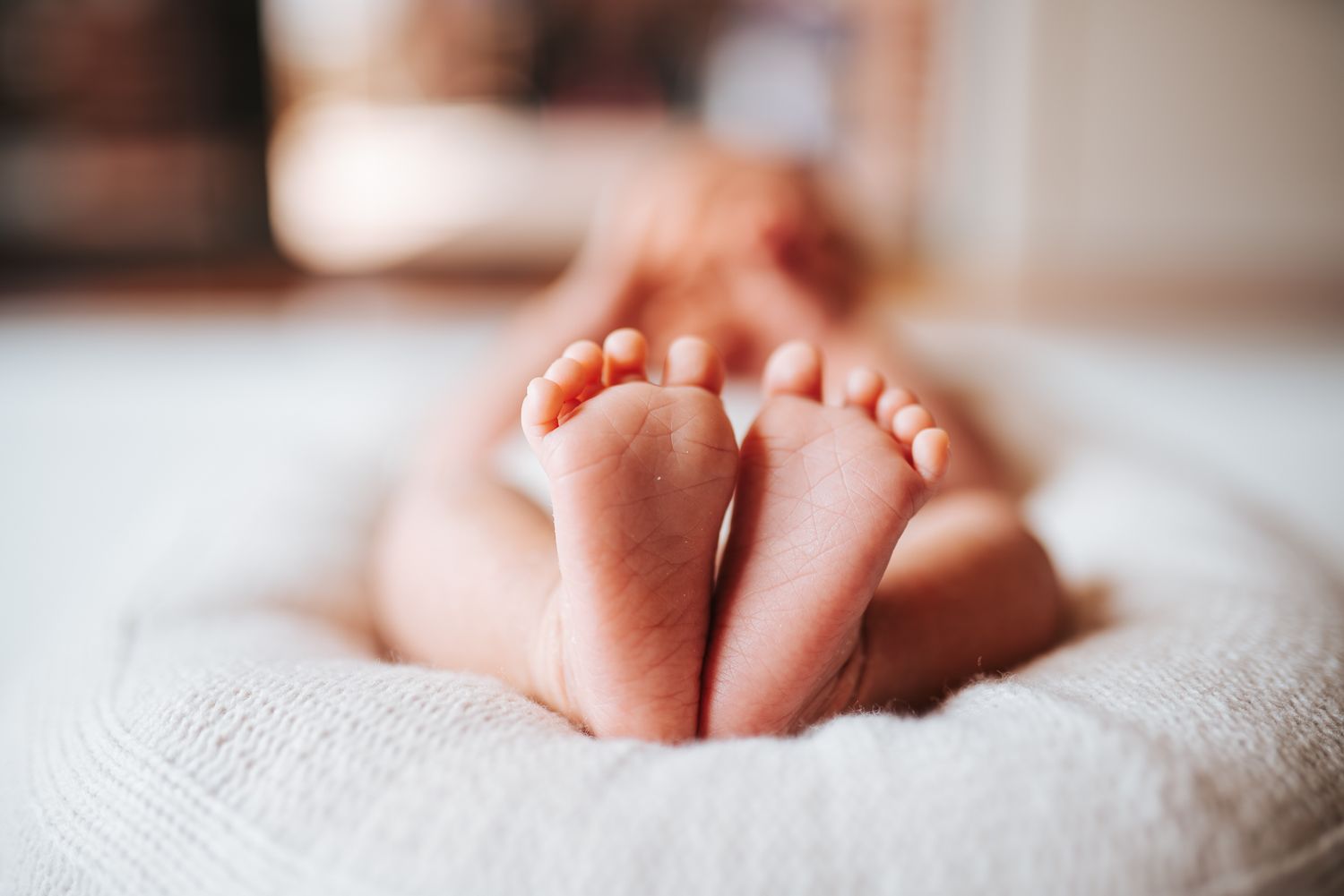 Close-up photo of tiny newborn baby feet wrapped in soft white blanket taken by a Melbourne Newborn Photographer.