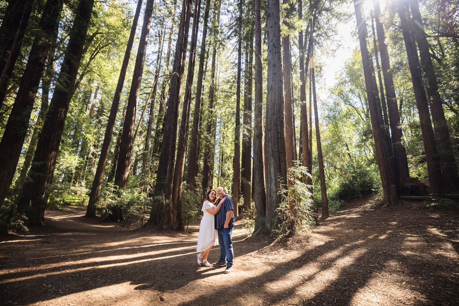 Couple sharing a romantic kiss surrounded by towering redwood trees in a sunlit forest.