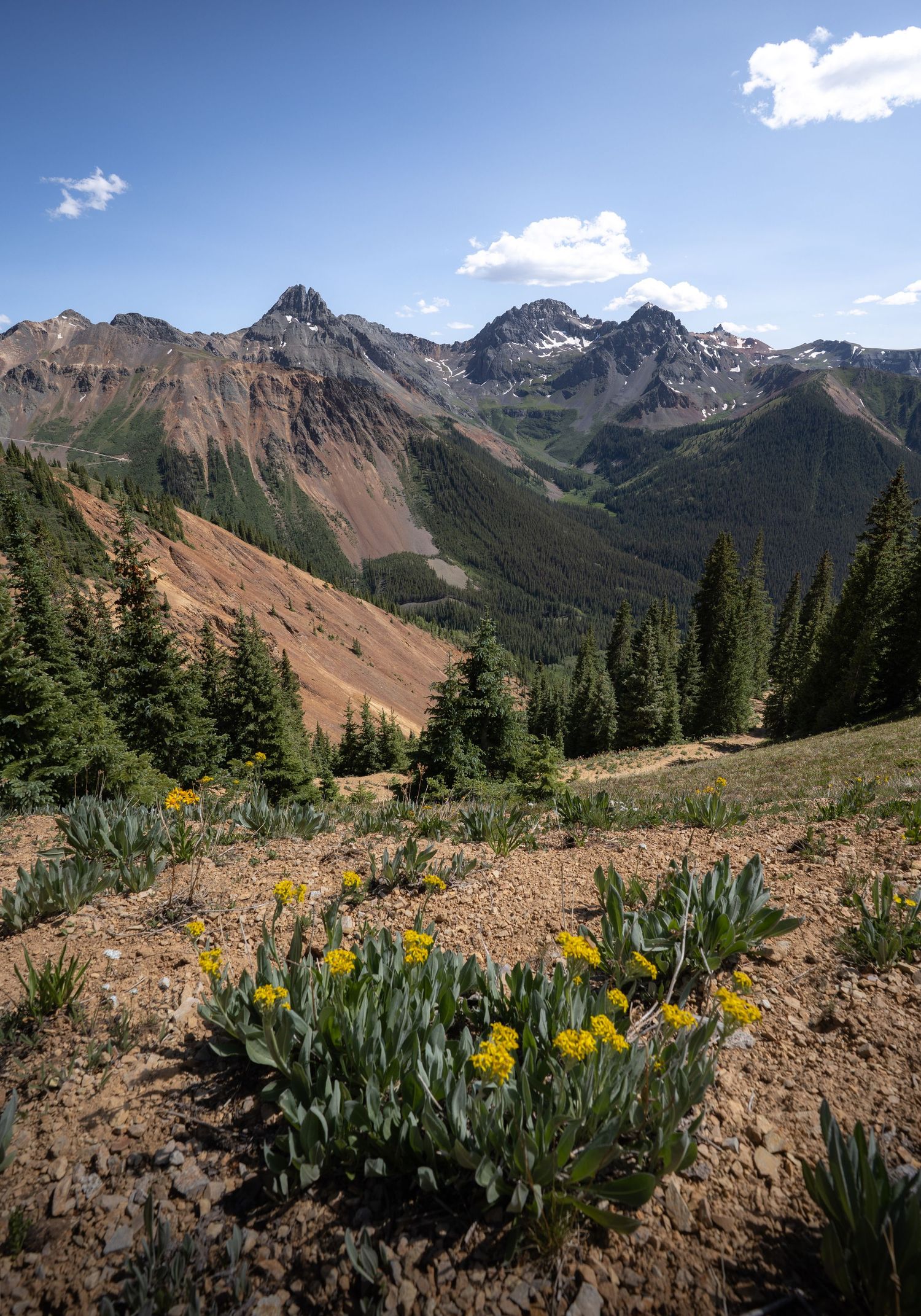 Yellow flowers in the foreground and the beautiful San Juan Mountains of Colorado in the background.