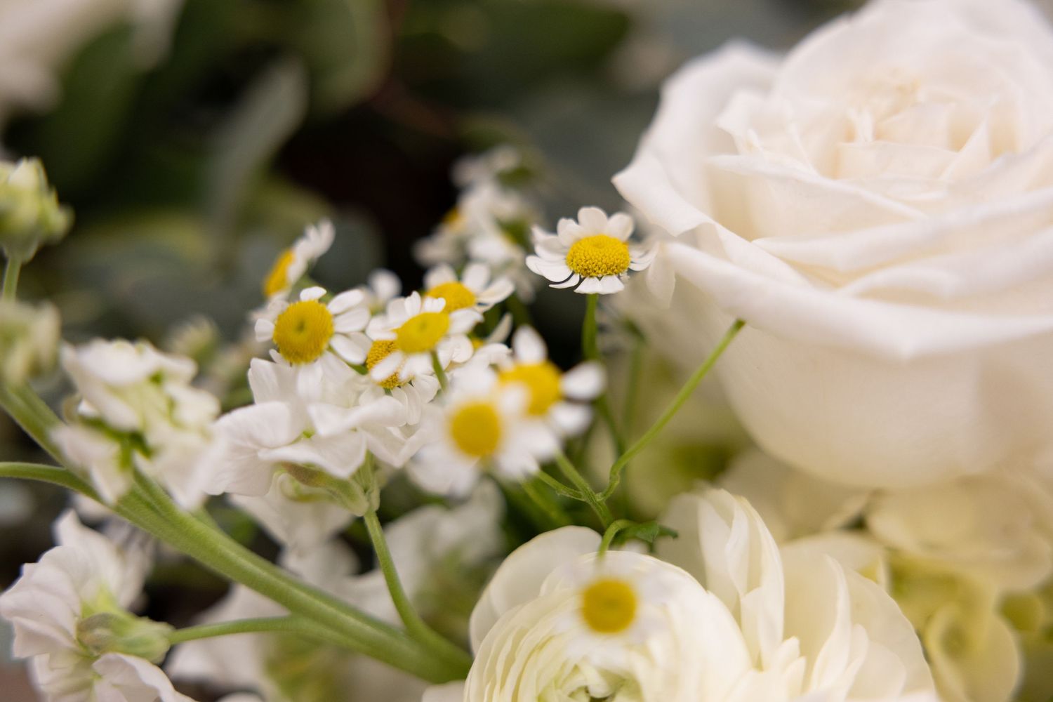 A stunning white wedding bouquet with roses, daisies, and delicate greenery arranged in an elegant design.
