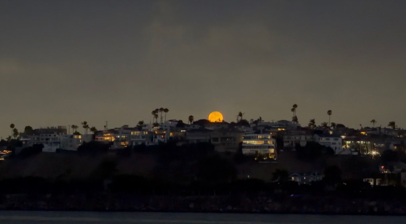 Full moon rising over a coastal hillside town at dusk with palm trees and glowing city lights.