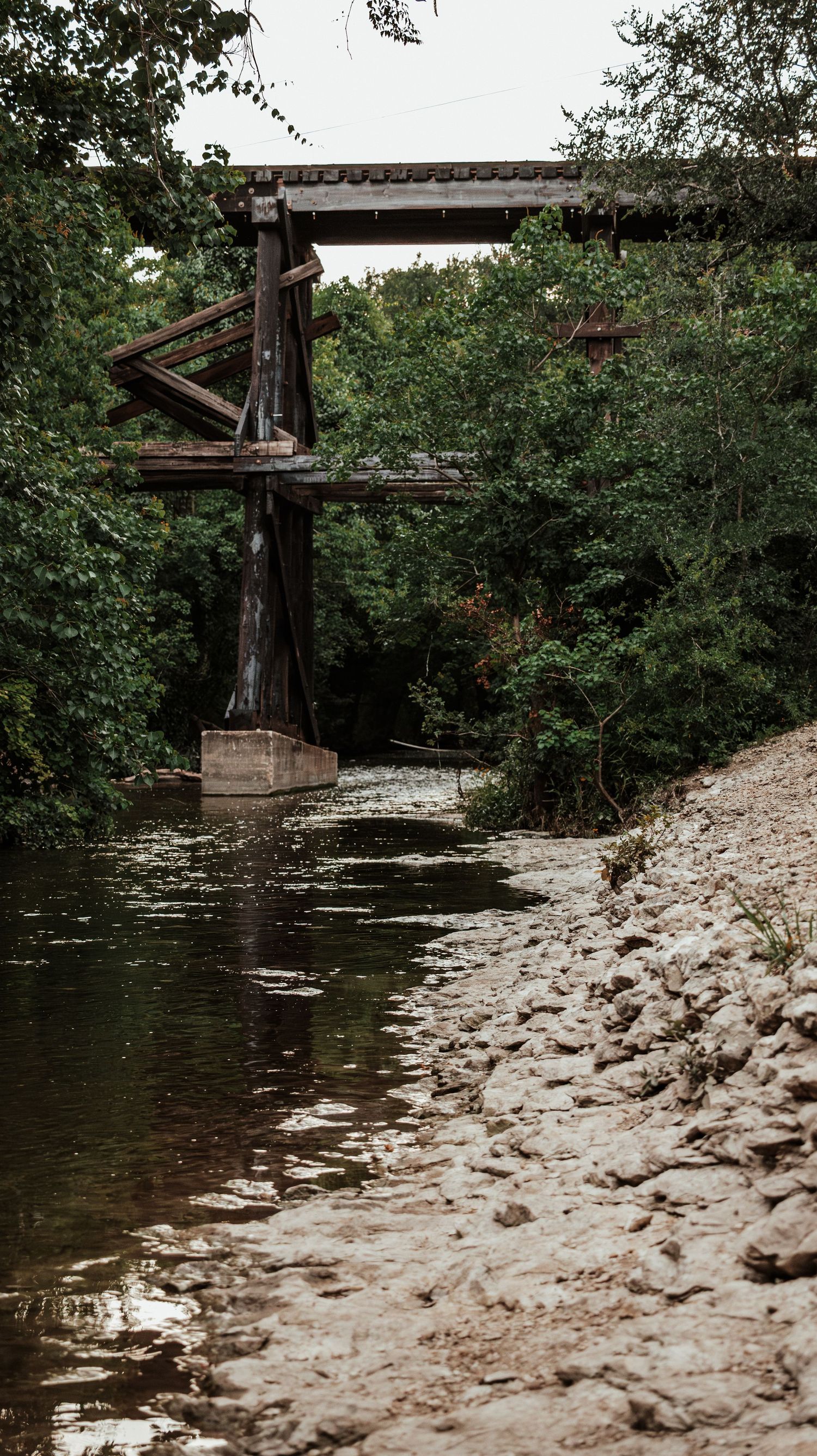 Old wooden railroad trestle bridge over a rocky shallow creek surrounded by lush green trees in a natural setting.