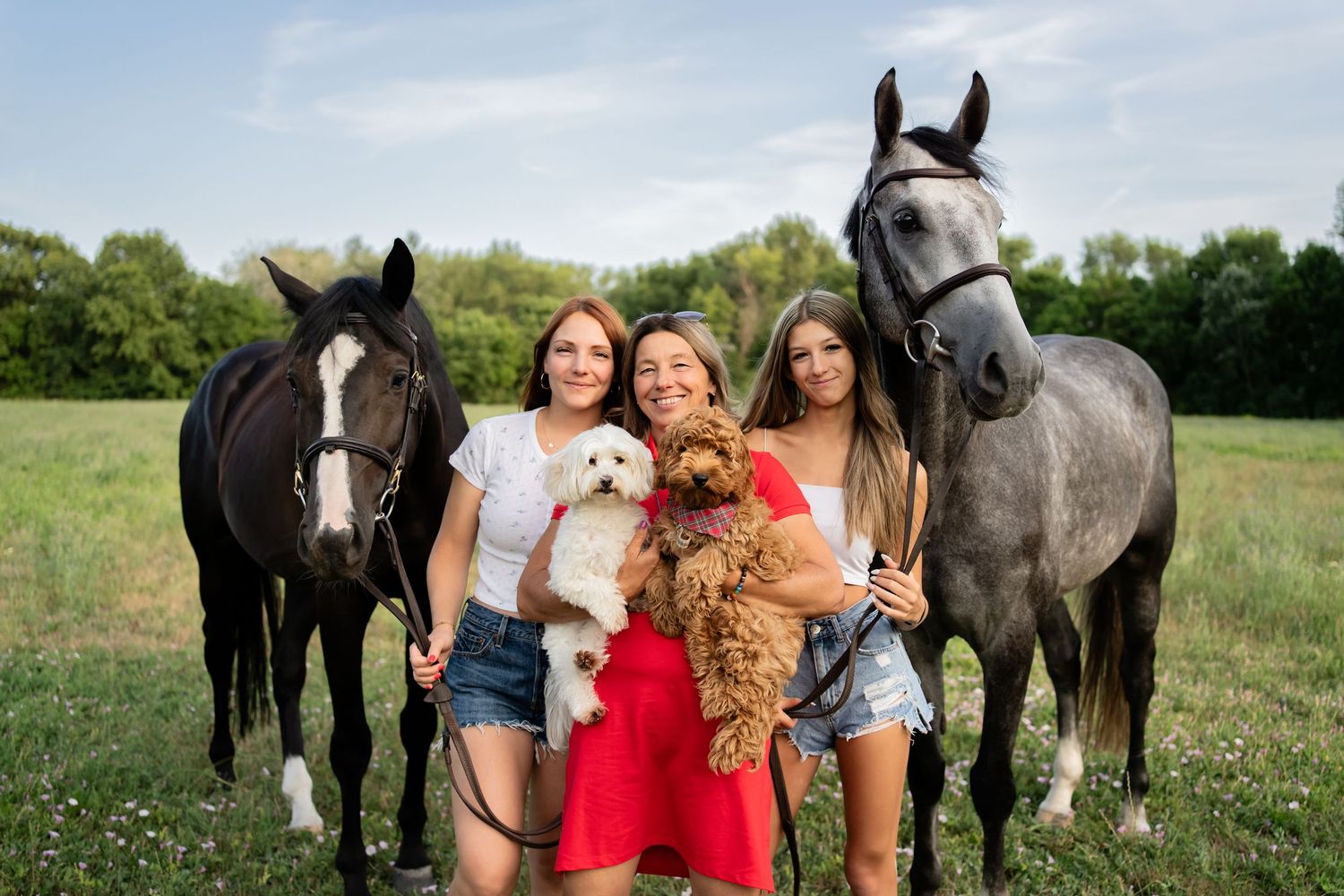 a family, mom and daughters and their horses and dogs in a grassy field on a sunny summer day for outdoor photoshoot in Sydney