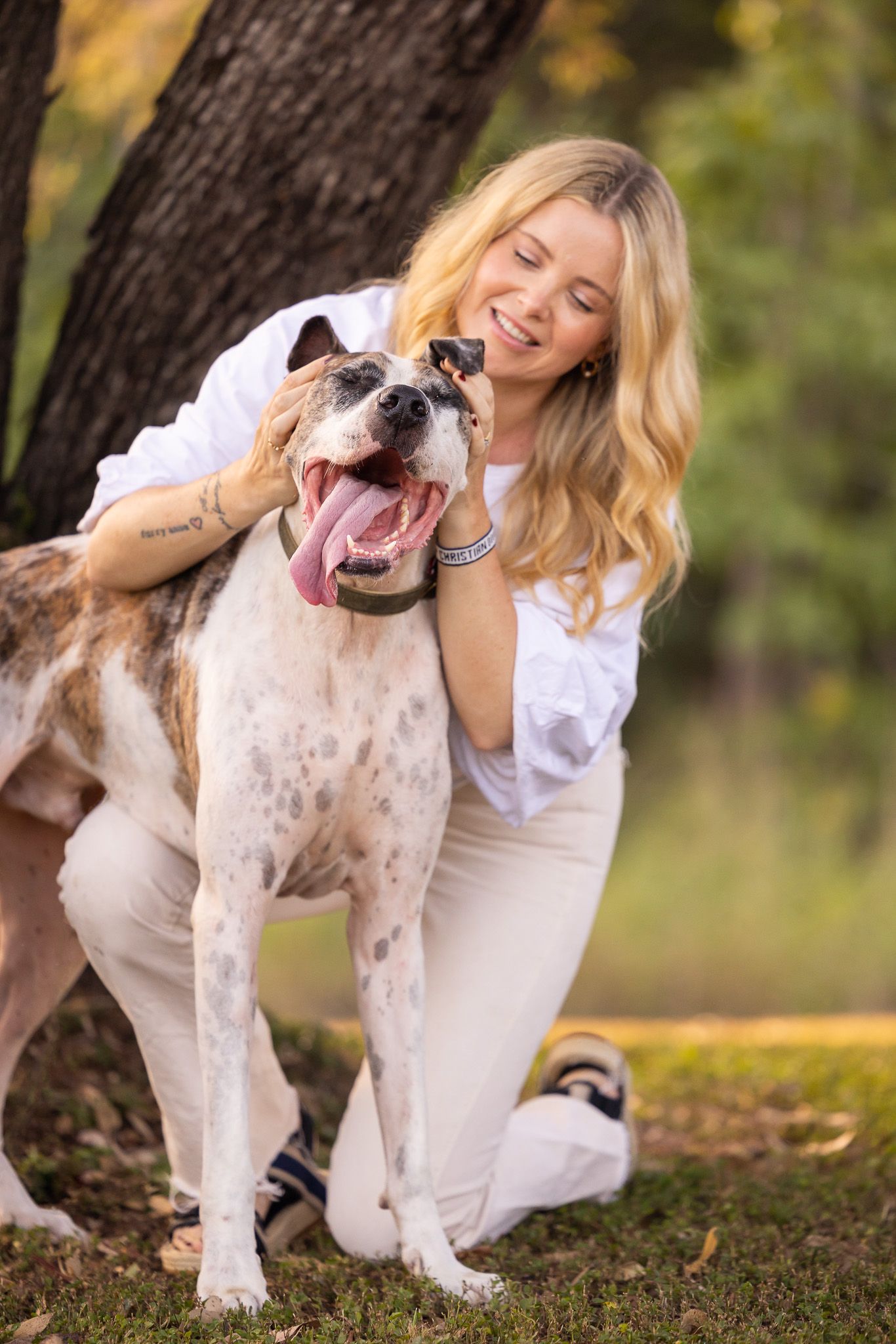 Great Dane cross getting ears rubbed with his tongue hanging out