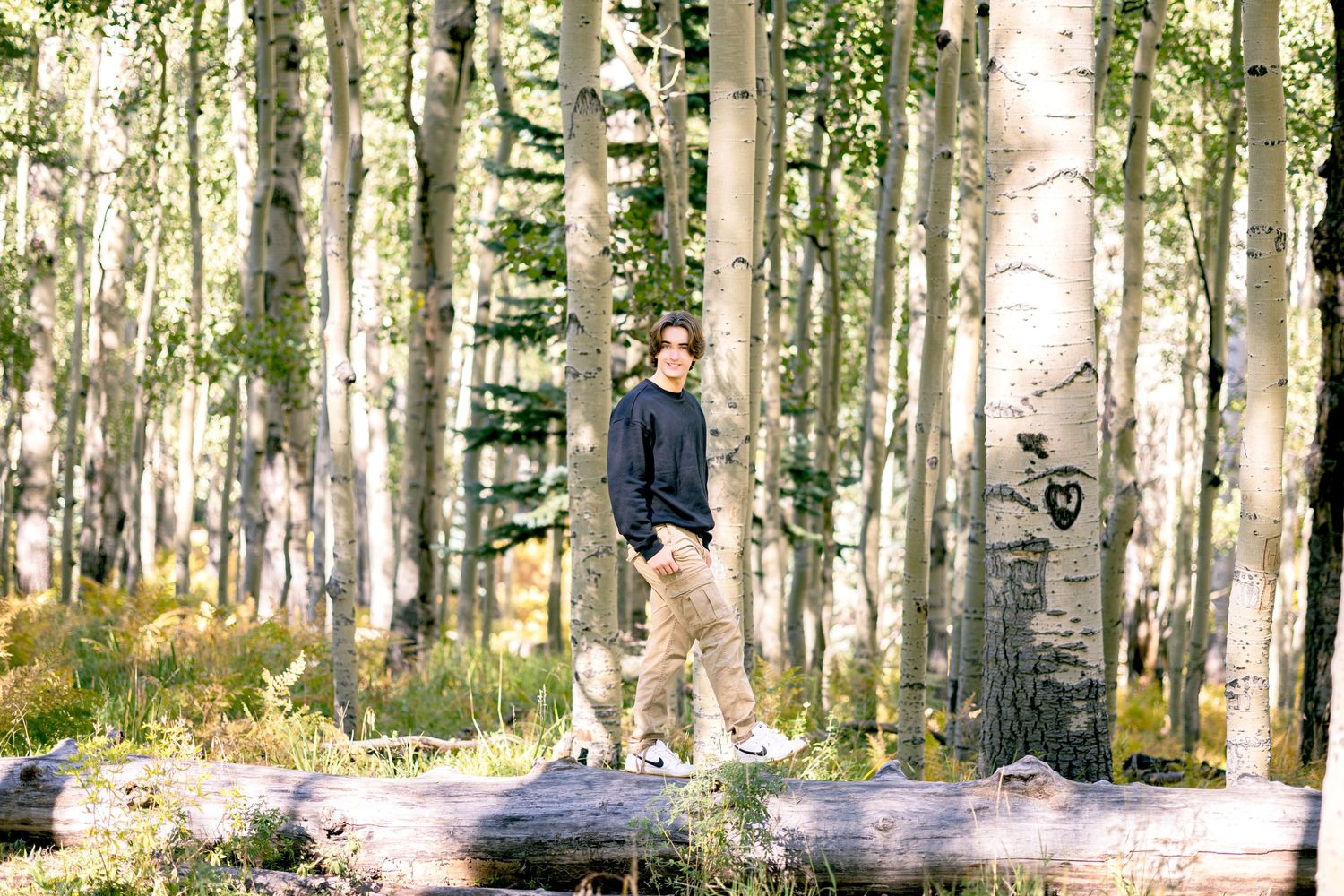 Person walking through a serene aspen forest with white tree trunks and dappled sunlight.