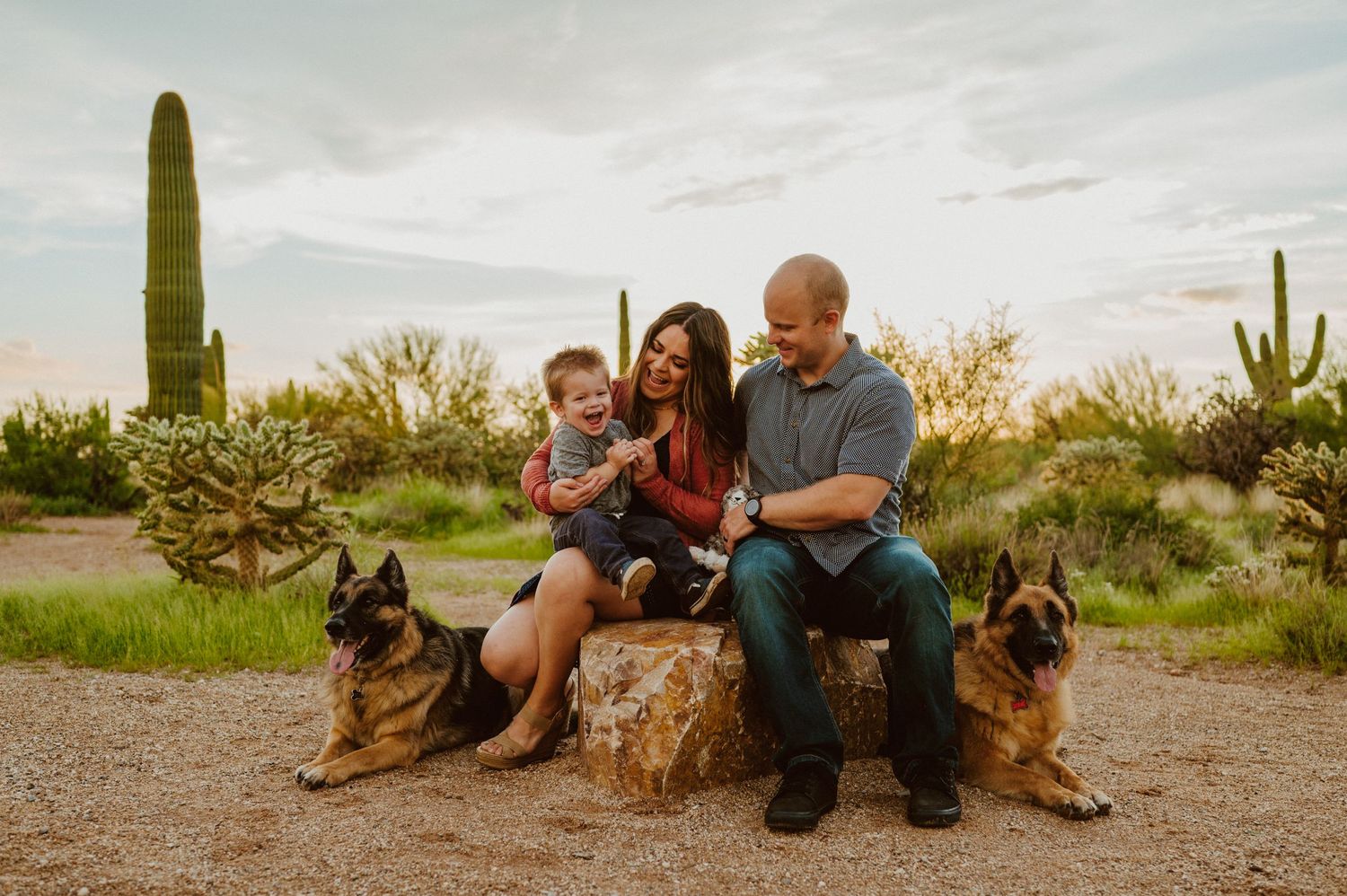 A family relaxes outdoors with their German Shepherd dogs in a desert setting with saguaro cacti.