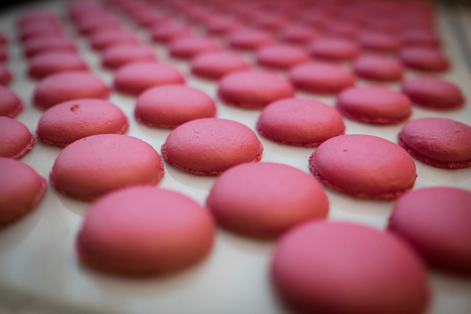 Rows of pink French macarons cooling on a white baking sheet in a professional pastry kitchen.