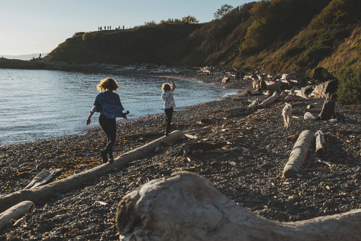 People exploring a rocky beach with driftwood and coastal cliffs in the background.