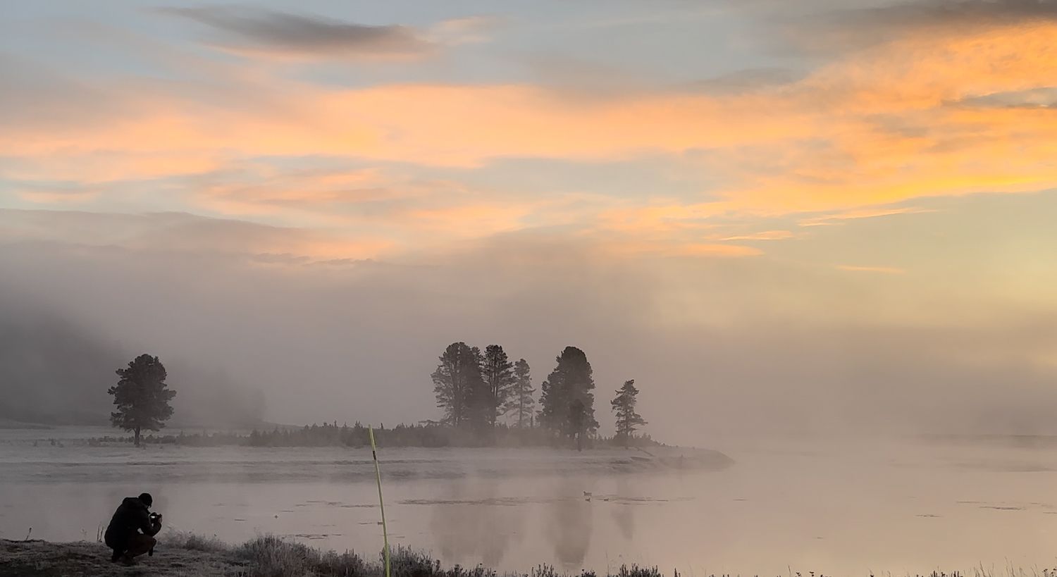 Misty sunrise landscape over a lake with silhouetted trees in golden morning light.