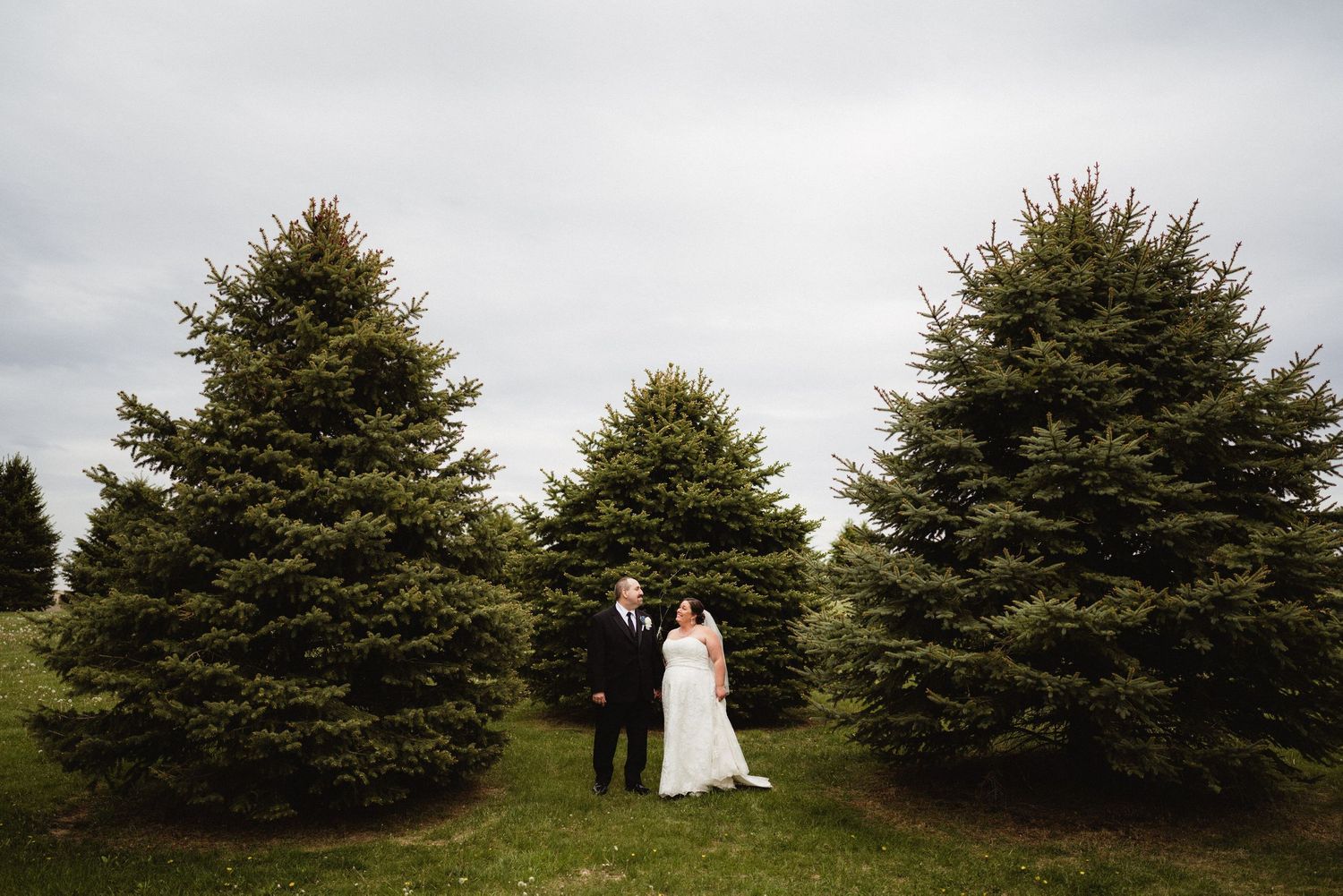 A wedding couple standing between evergreen trees on an overcast day.