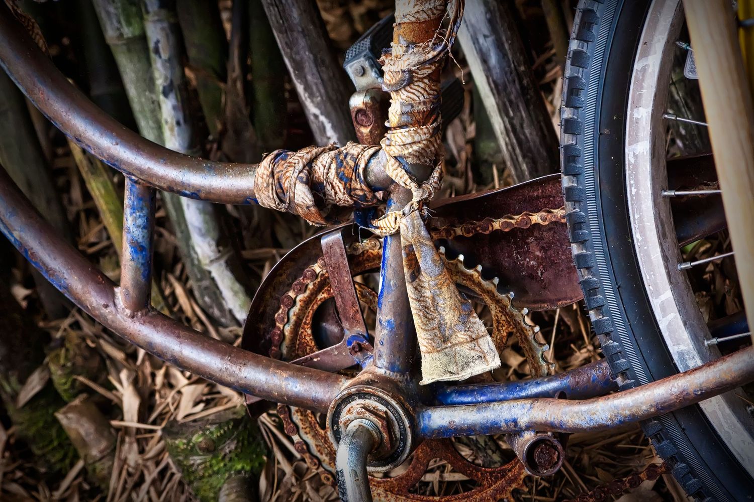 Close-up of a heavily rusted bicycle frame, crank, and chain ring surrounded by weathered metal and vegetation.
