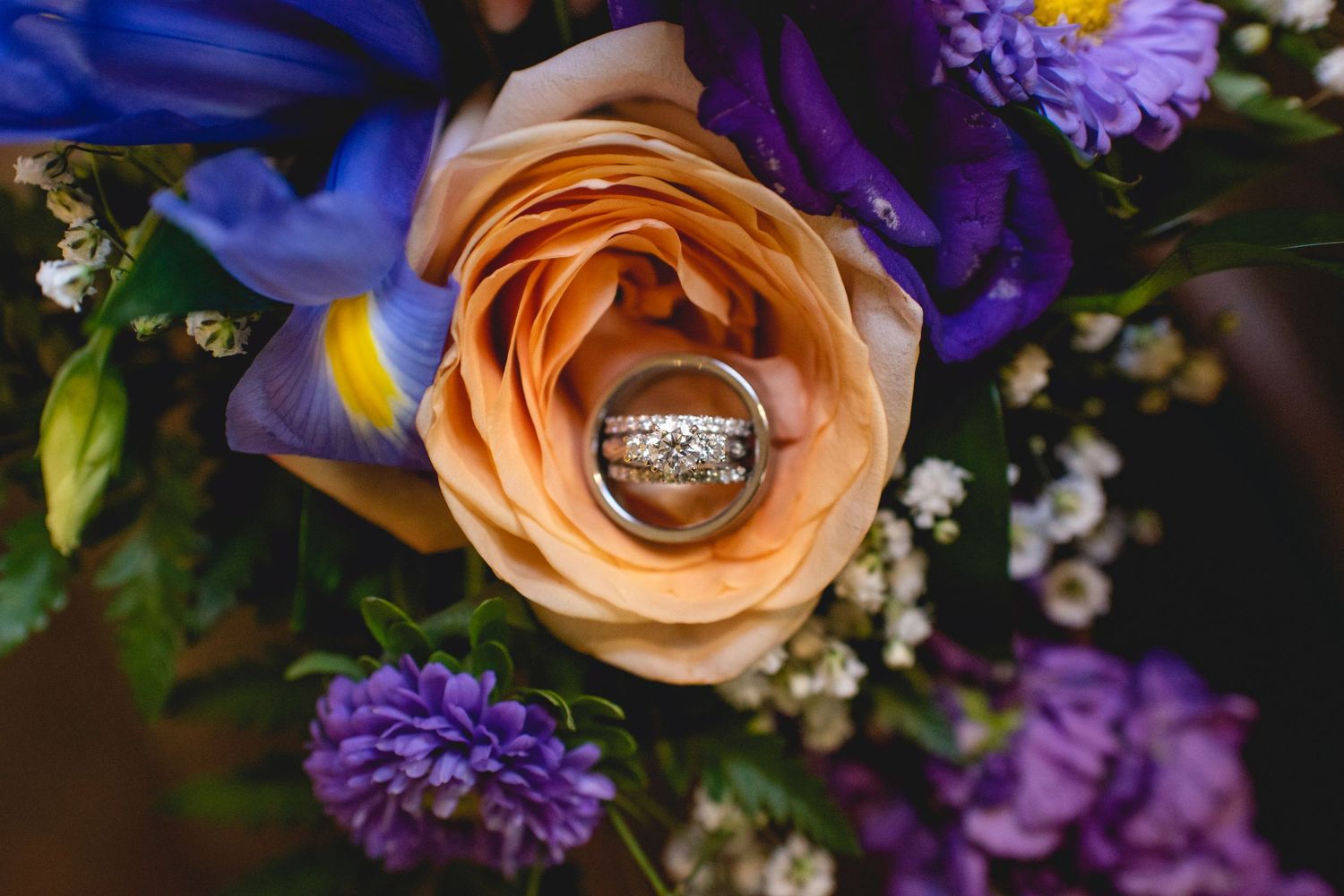 Wedding rings nestled inside a peach colored rose with purple flowers around it.
