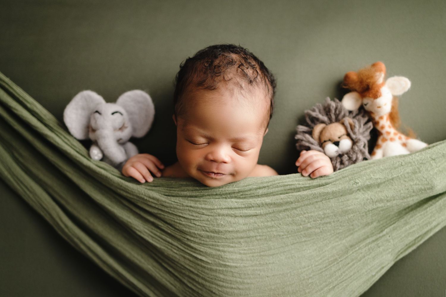 Brandon fl baby photographer