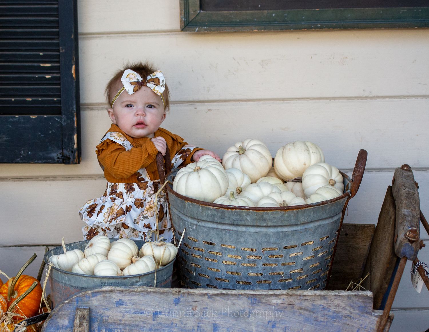 gunnii sack photography, amador county, best of calaveras county 2022, sutter creek ca, fall photos