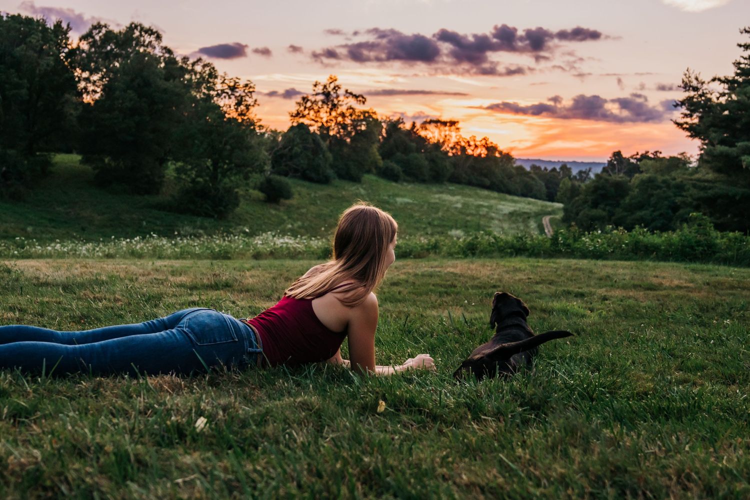 Someone relaxes in a meadow at sunset with their black dog companion.