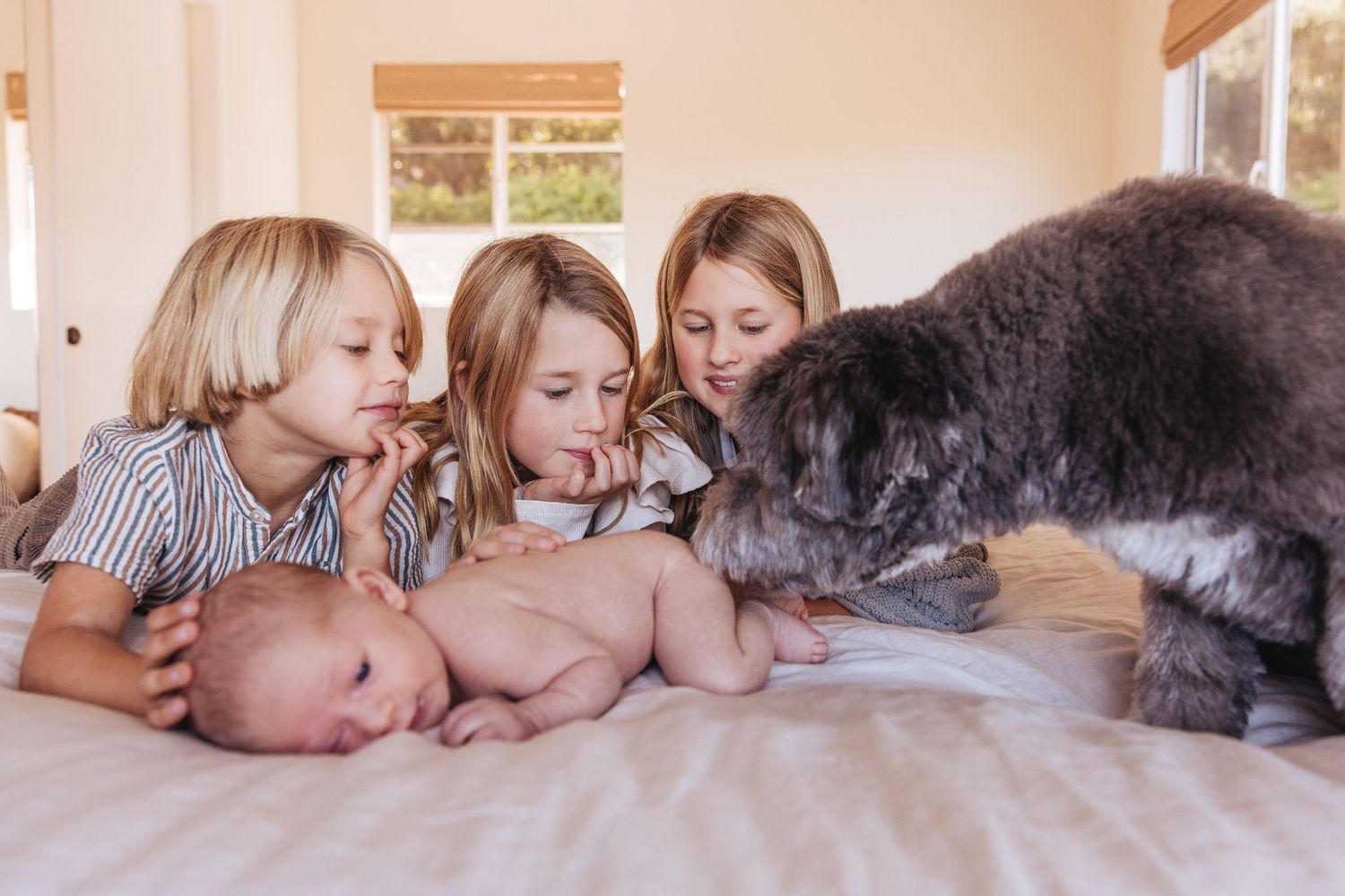 Family members lying down together on bed with grey cat.