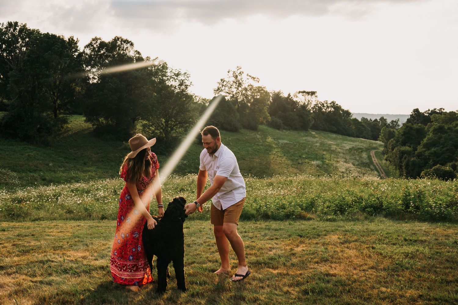 Family pet photographer in Cincinnati Oh giant schnauzer Dog photos Dayton Ohio Couples photography near me