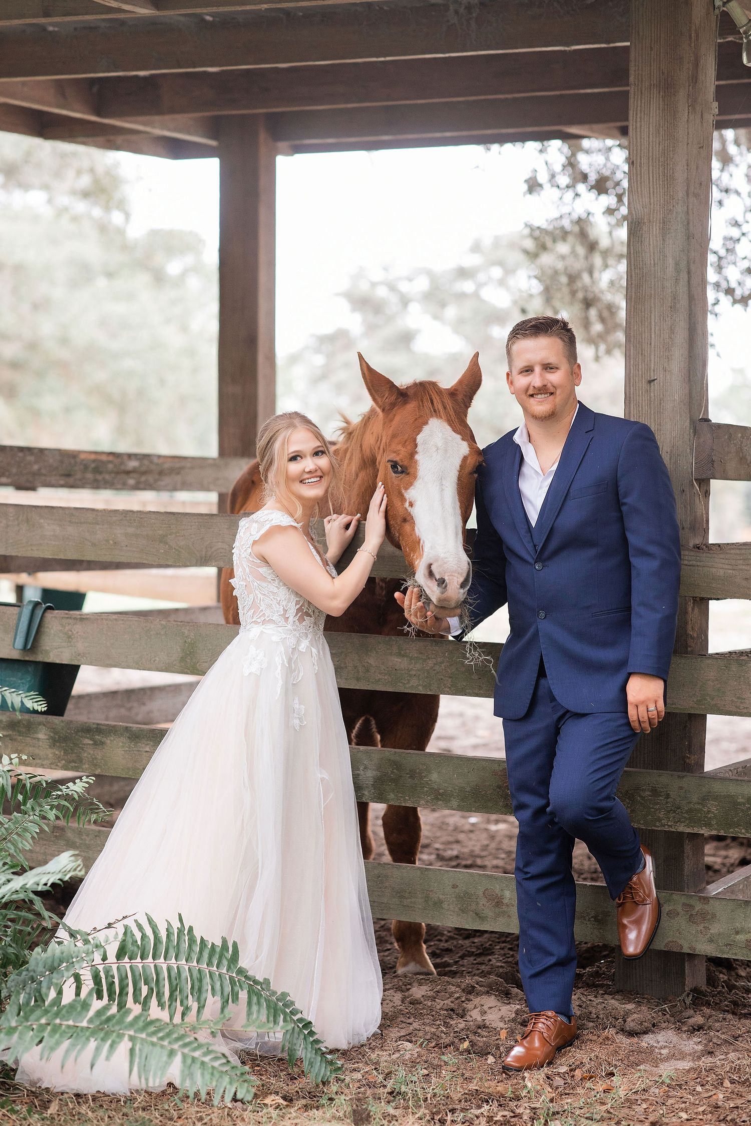 Couple in formal attire poses with brown and white horse at rustic stable.
