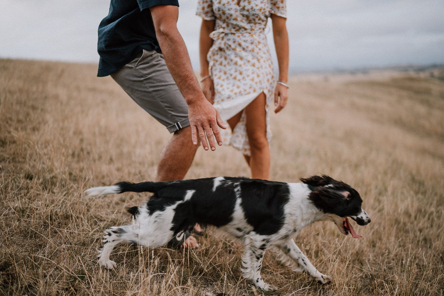 Hawkes Bay Photographer, Couple Session, Engagement Session, Farm Session, Hawkes Bay Wedding Photographer