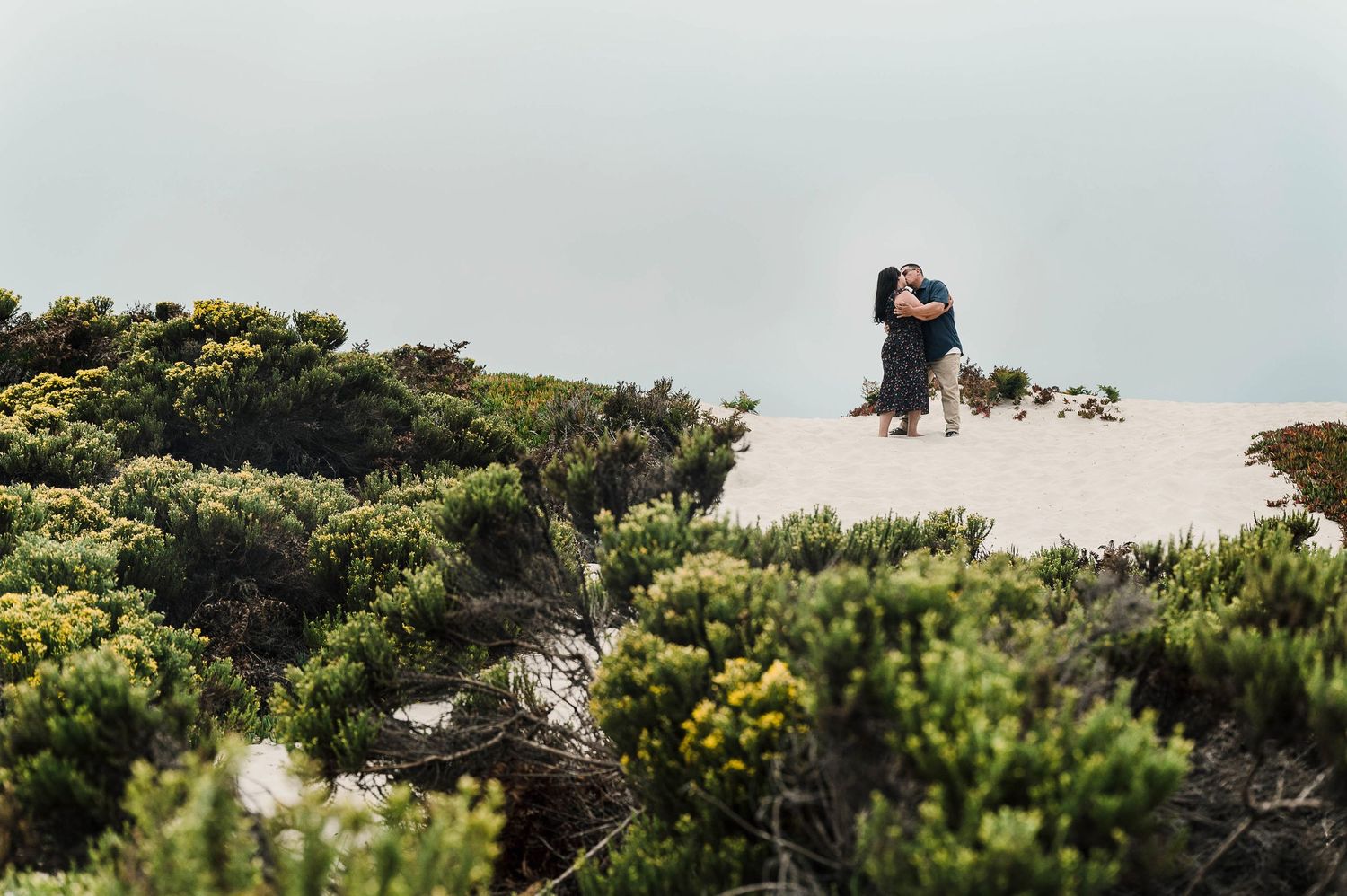 An engaged couple posing at the top of a sand dune covered in greenery in Carmel.