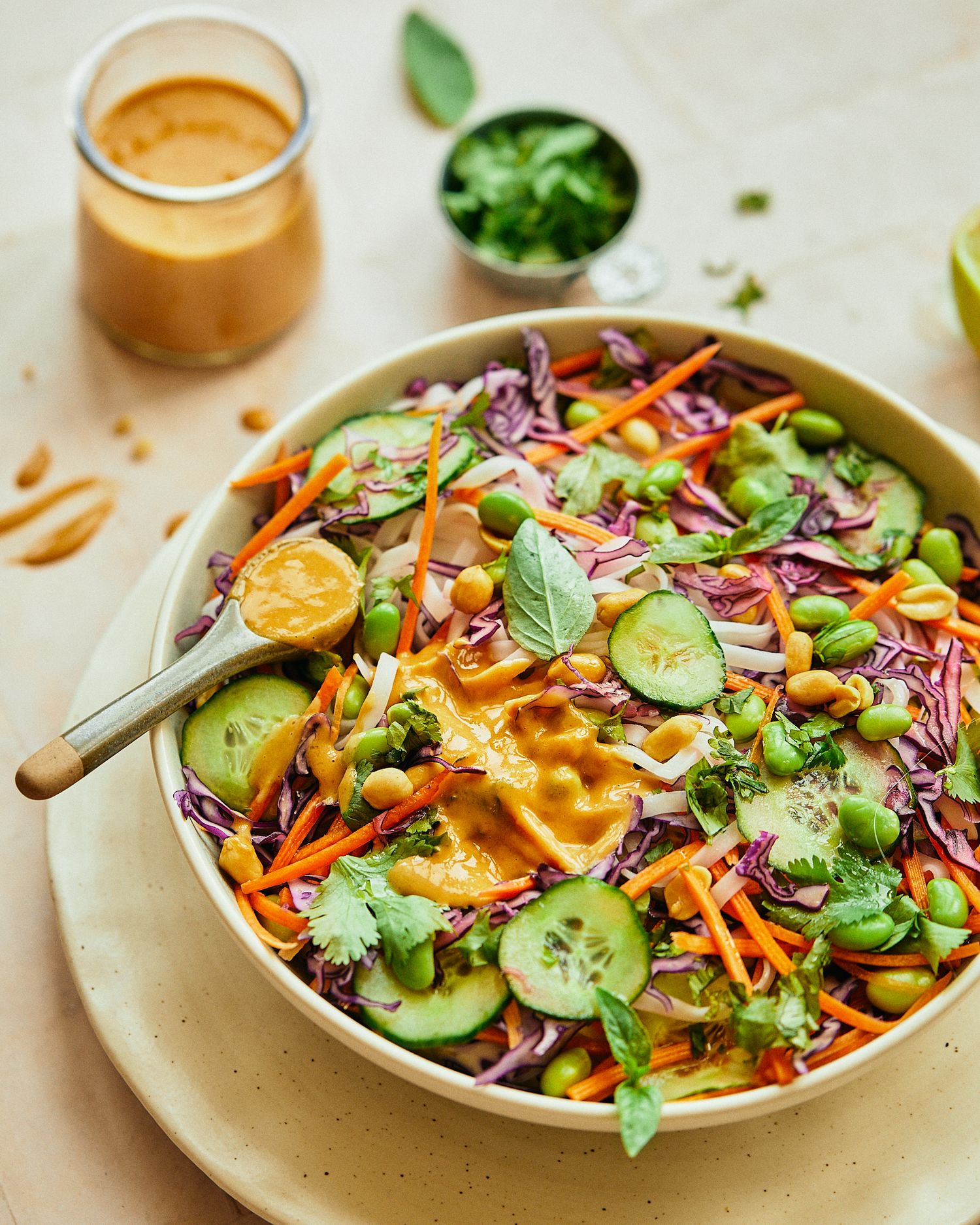 Colorful Asian salad topped with peanut dressing, cucumbers, carrots, purple cabbage and fresh herbs.