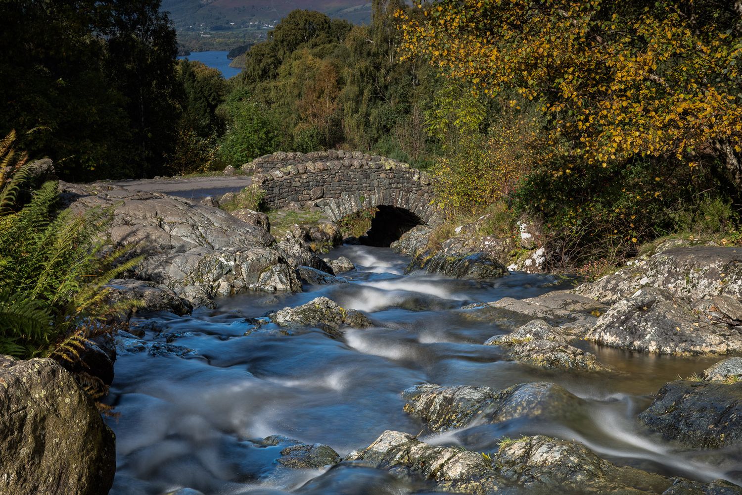 A rushing mountain stream flows over rocks between autumn trees with golden foliage.