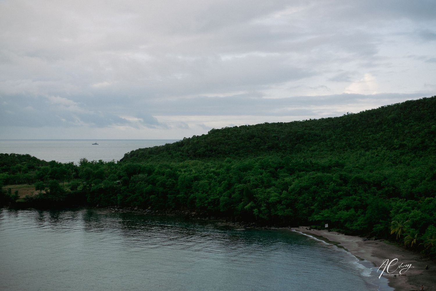 Panoramic view of a lush green coastline with cloudy skies and calm waters.
