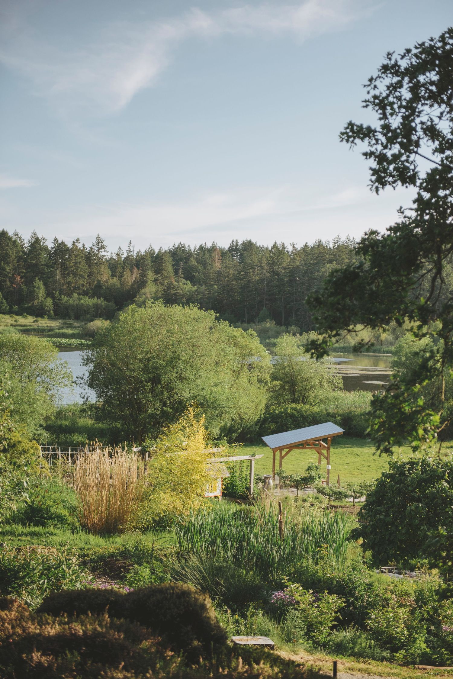 The Gardens at the Horticulture Centre of the Pacific. Andrea Collins Photography. Luxury Bridal Packages.