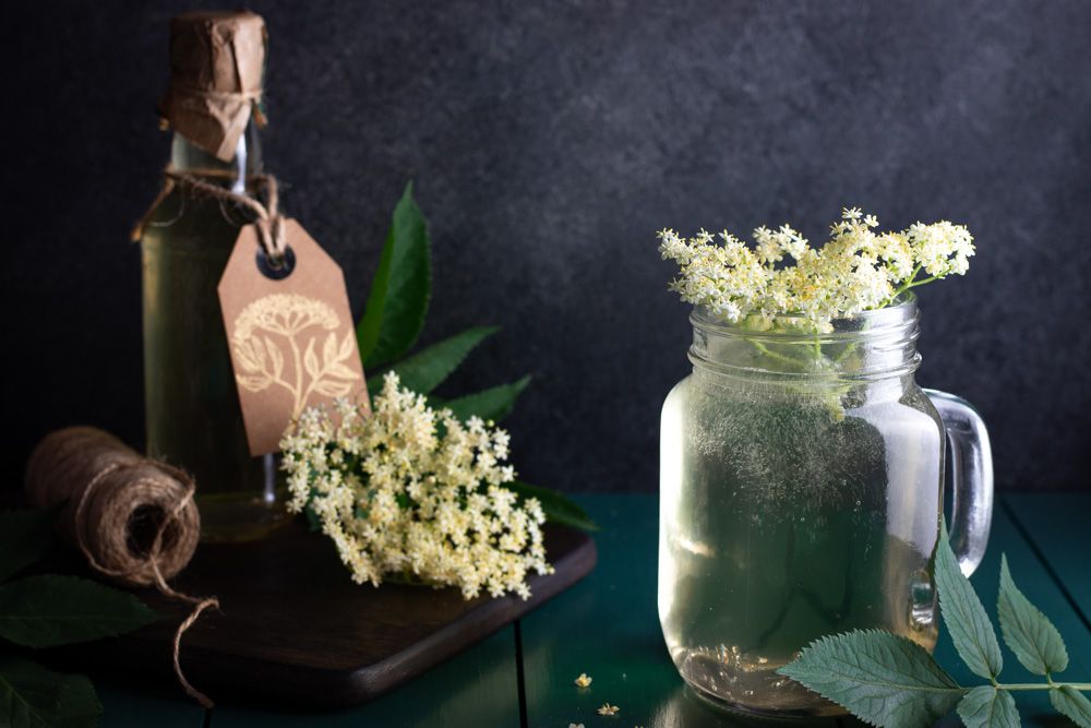 Homemade Elderflower Syrup Recipe - Photo by © Reka Csulak