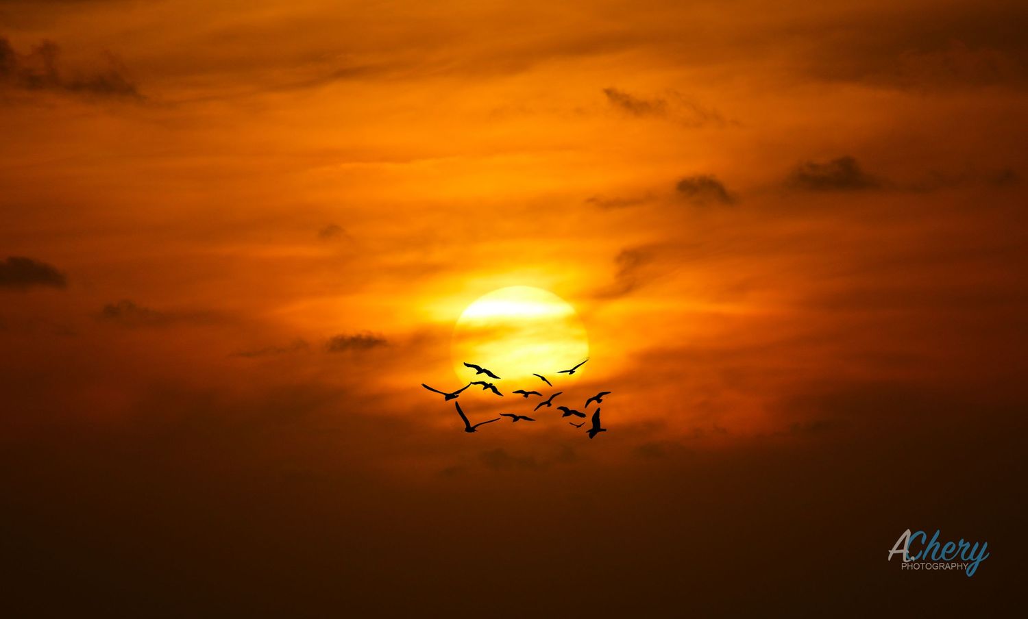 Dramatic orange sunset sky with birds flying silhouetted against the glowing sun.
