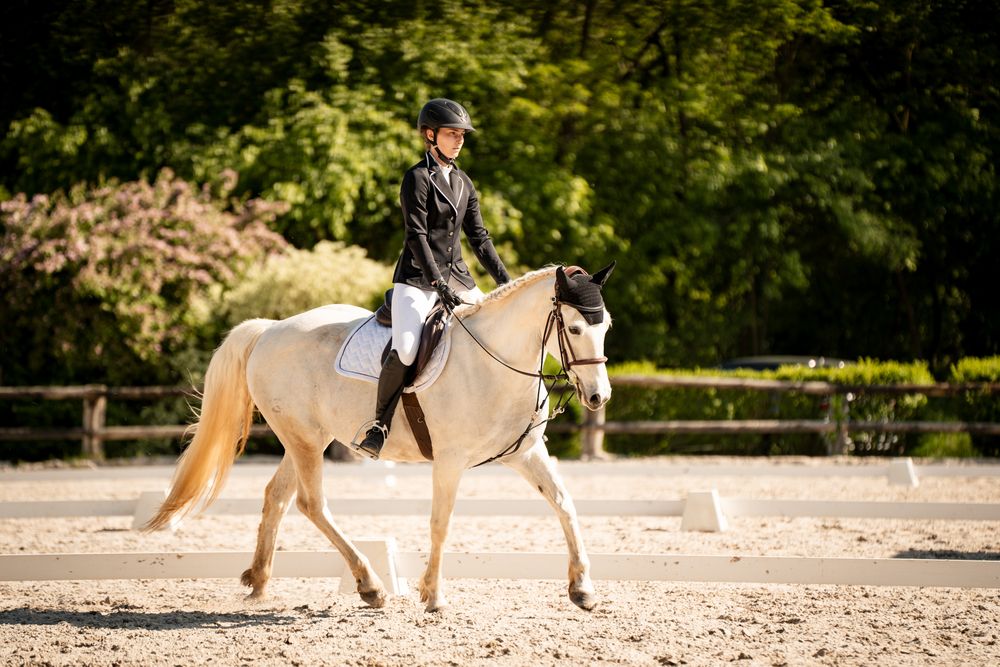 Expert du dressage et du spectacle équestre, Nicolas Brodziak était l